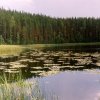 Озера Псковской области