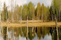 Болото